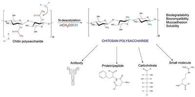 Effect of glycerol on properties of chitosan/chlorhexidine membranes and antibacterial activity against Streptococcus mutans